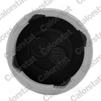 ET0131C1 CALORSTAT BY VERNET